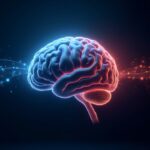 Brain computer interface
